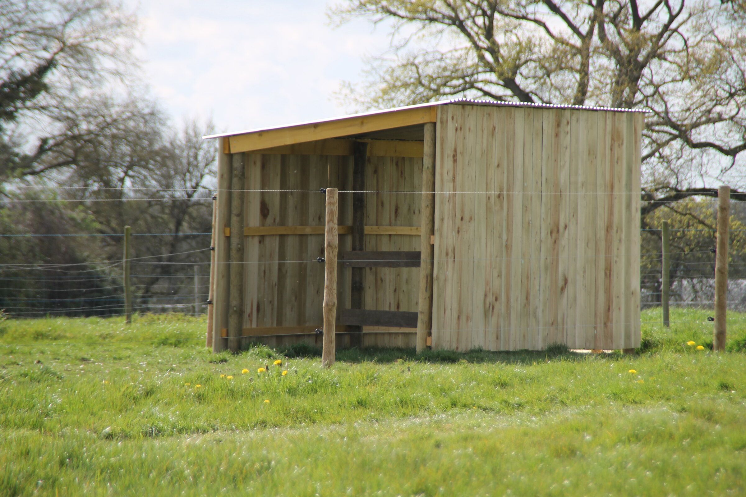 Wooden shelter in a grass paddock