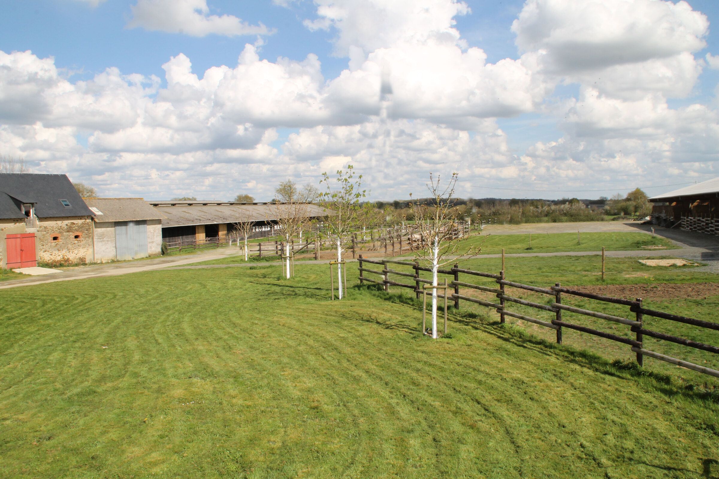 Track and wooden fencing between the fields