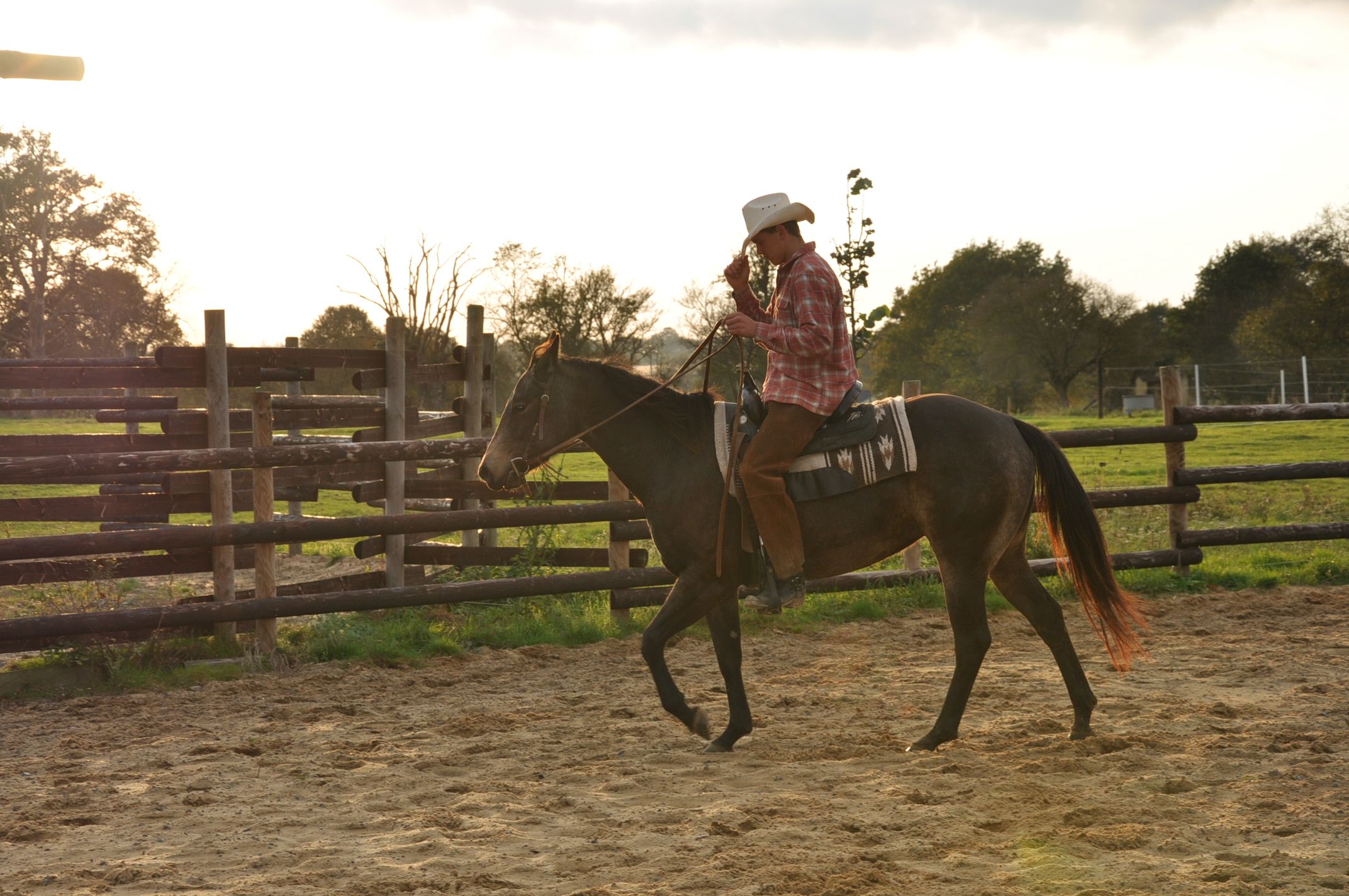 Western rider in a hat on a black horse in the ranch’s outdoor arena, backlit