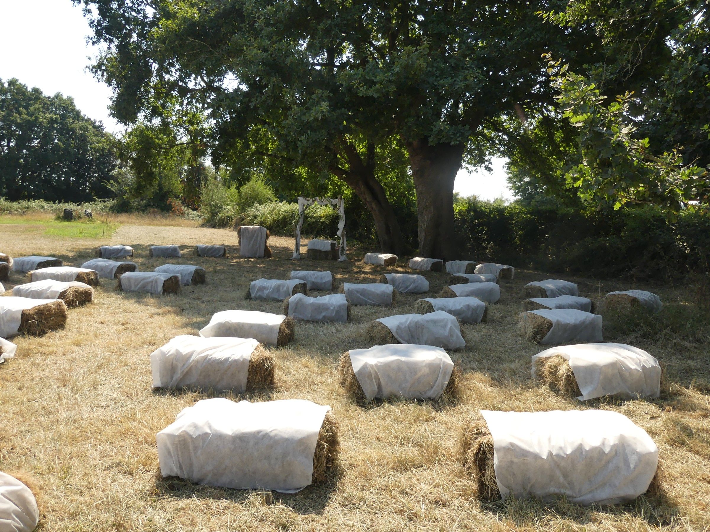 Bottes de paille couvertes de tissu blanc alignées sous un grand chêne pour une cérémonie en plein air