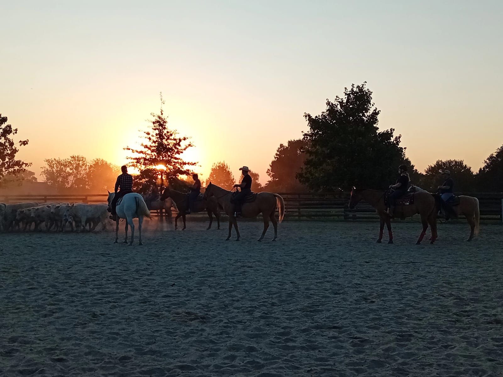 Riders at sunset in the ranch’s outdoor arena