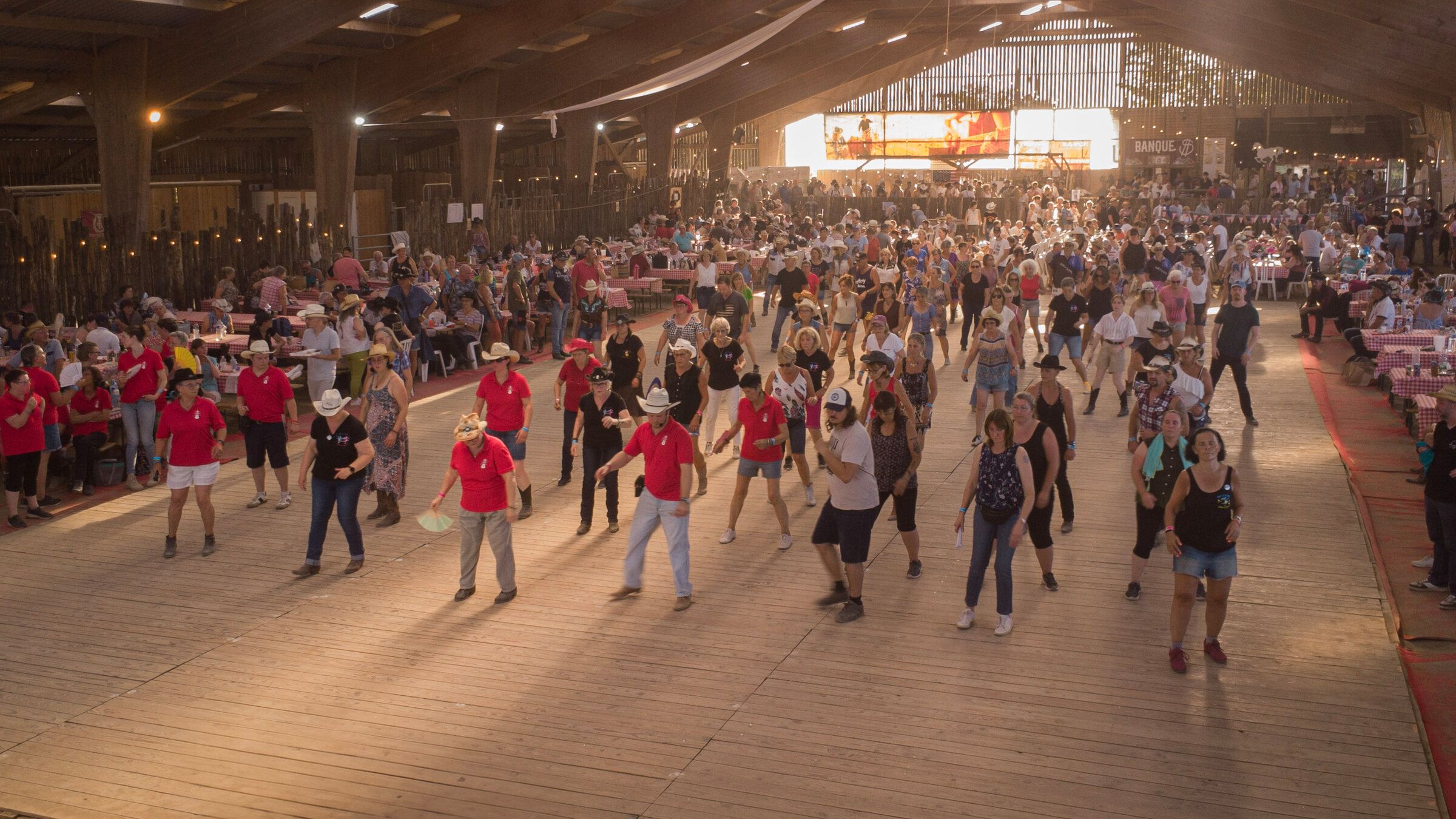 Line dancers on the festival dance floor, seen from above