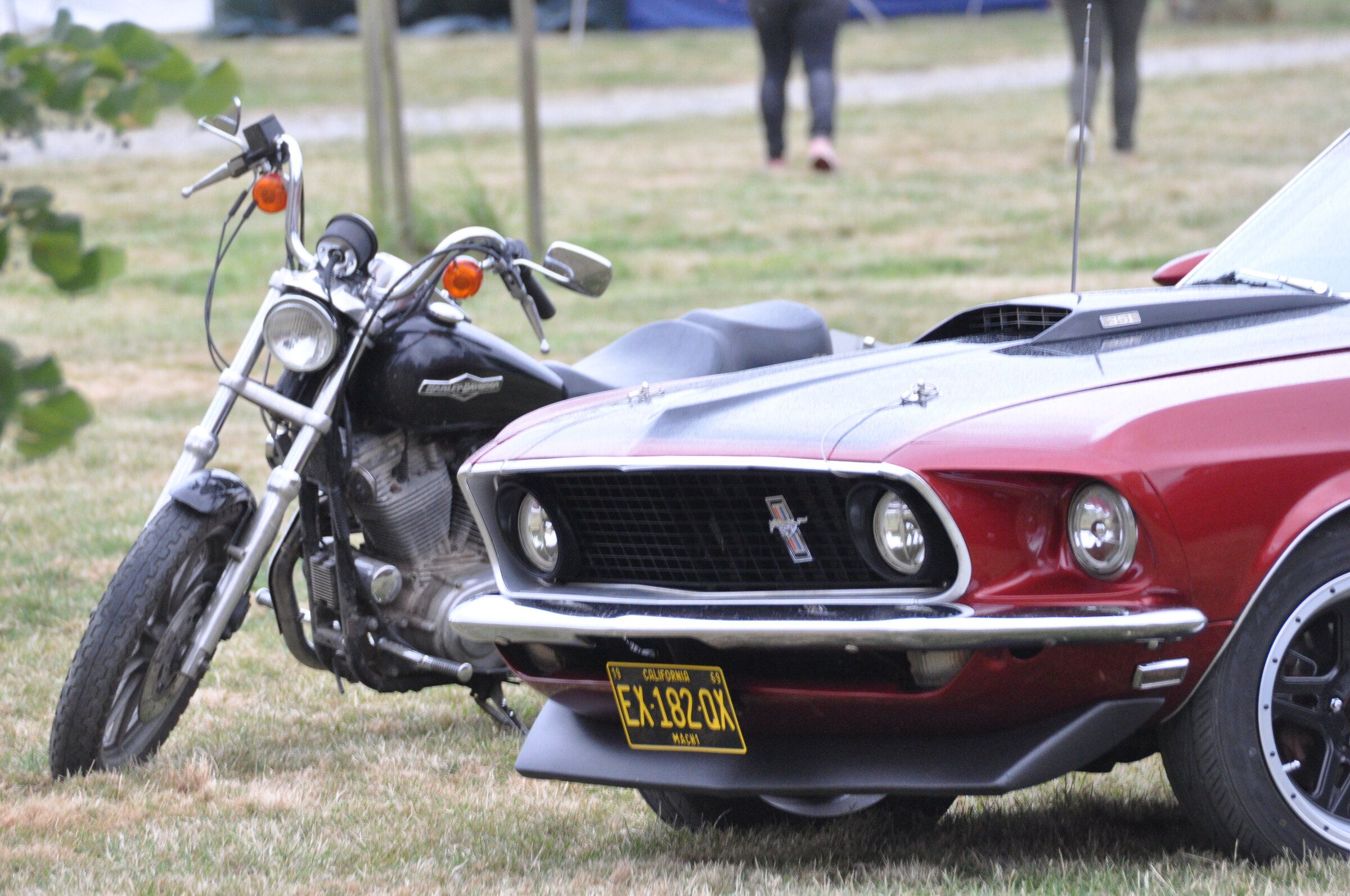 Harley-Davidson motorcycle and classic Ford Mustang on display on the festival lawn