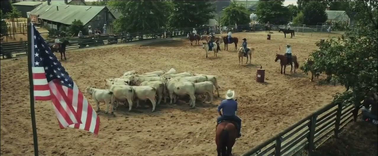 Cavaliers et troupeau de veaux dans la carrière du ranch, drapeau américain