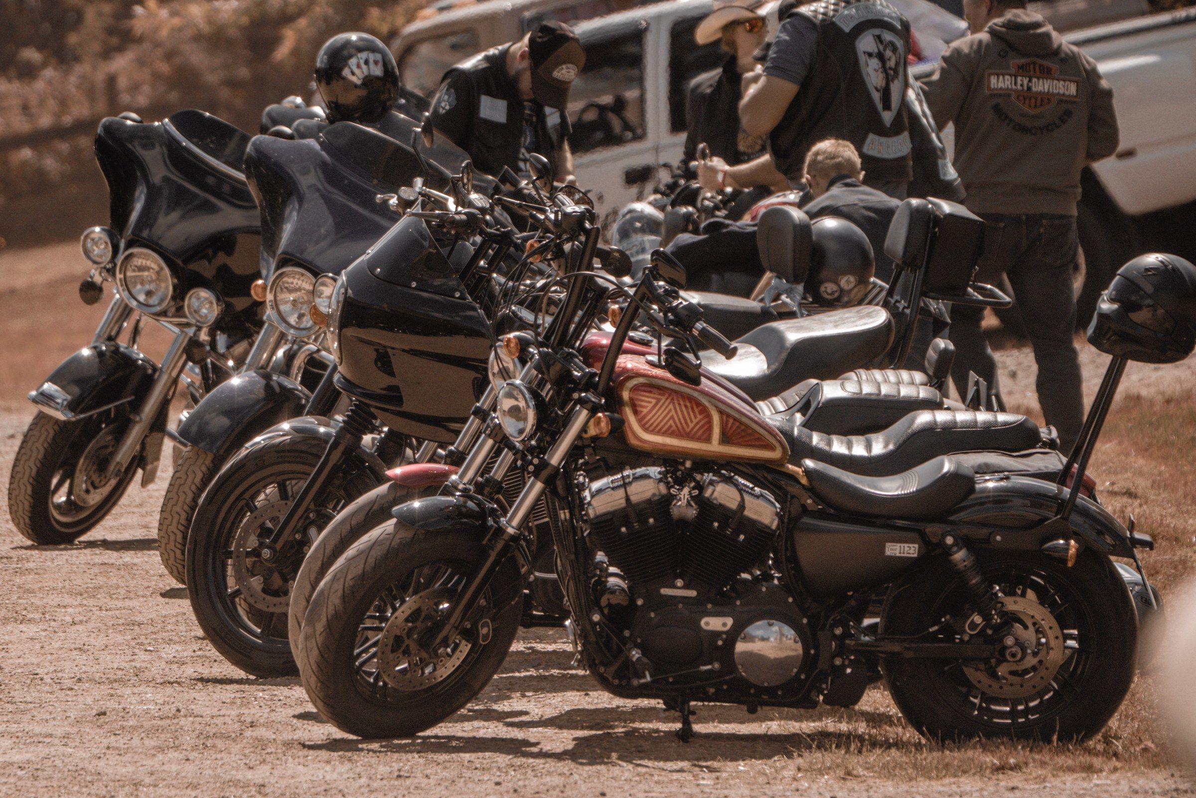Rangée de motos Harley-Davidson exposées pendant le festival