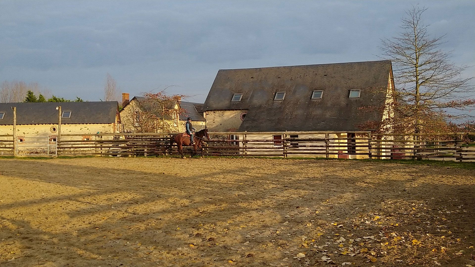 Les bâtiments du ranch et la carrière