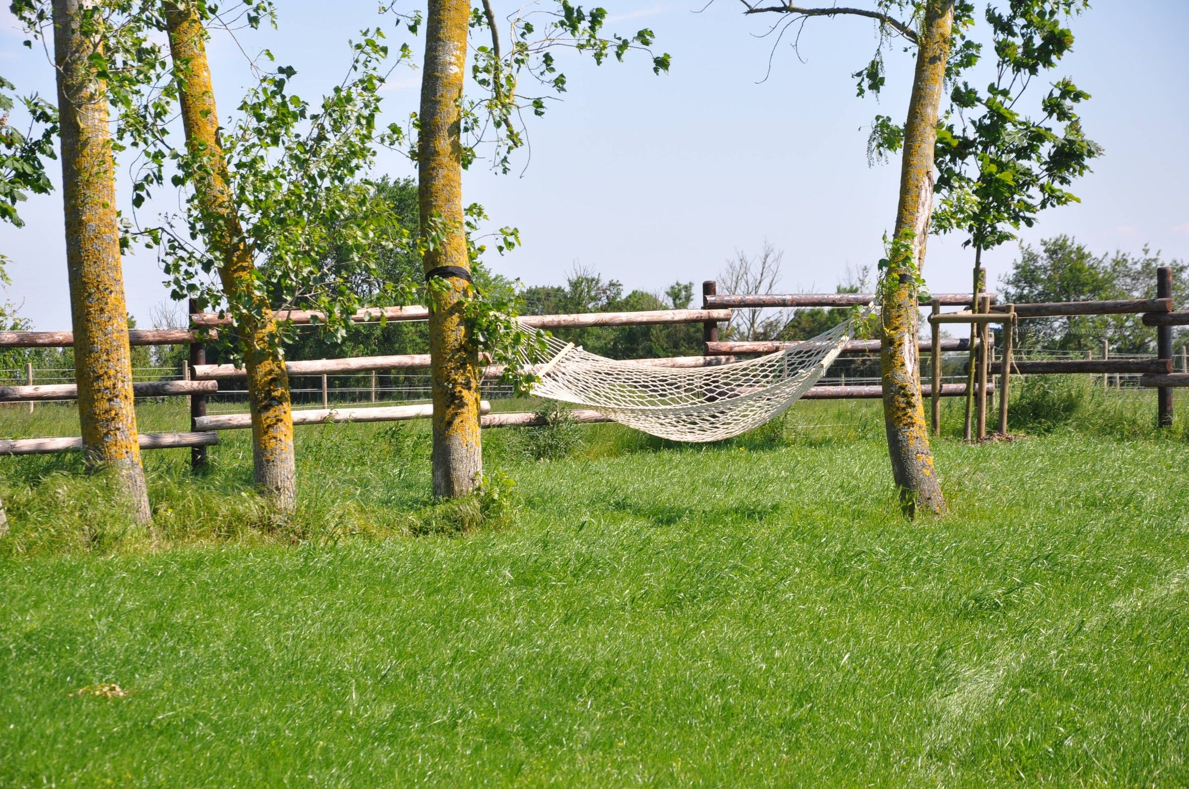 Un hamac entre les arbres du pré, près de la Thom’House