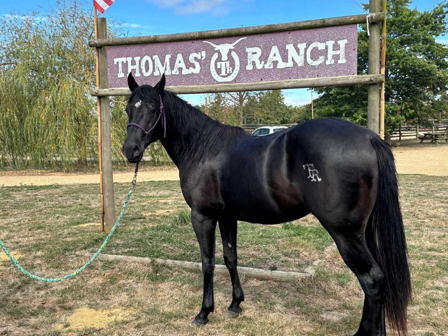 TEXAS DU TR - Thomas' Ranch