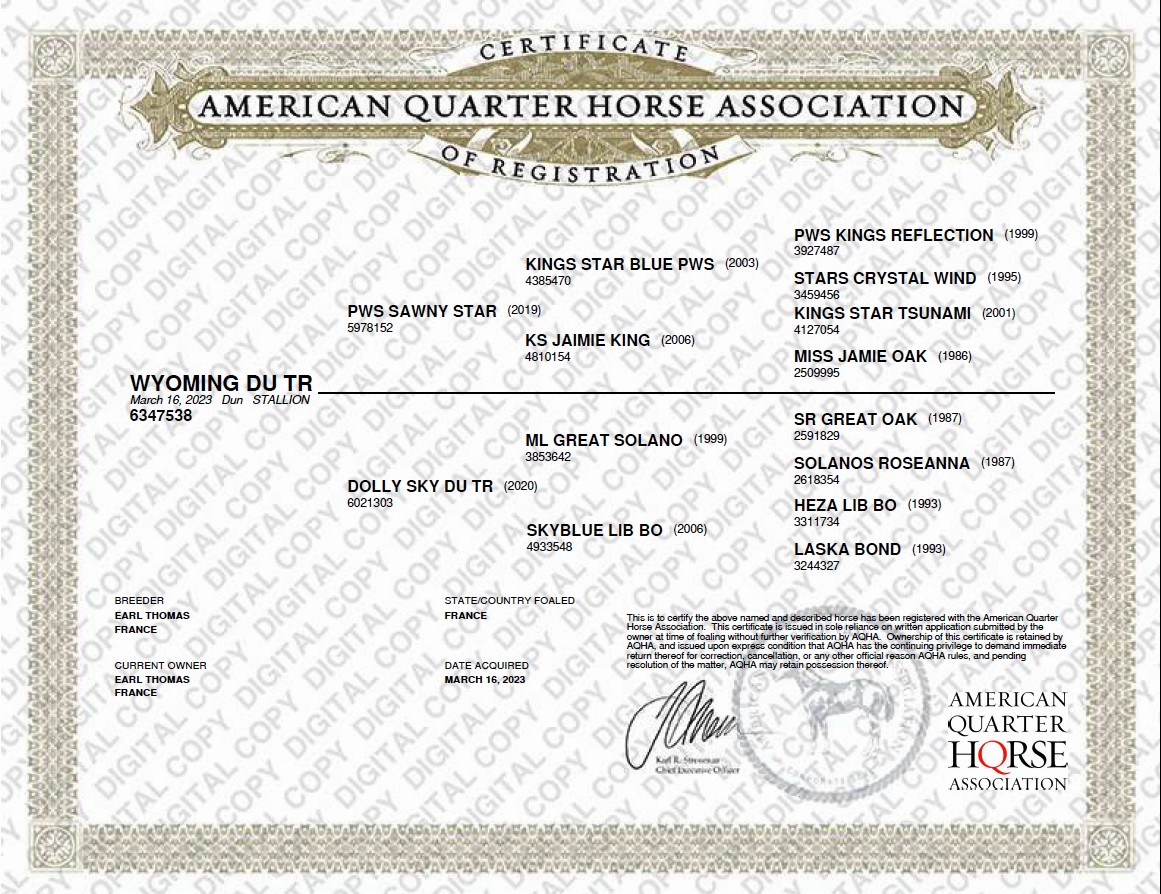 16 aqha certificate of registration wyoming du tr