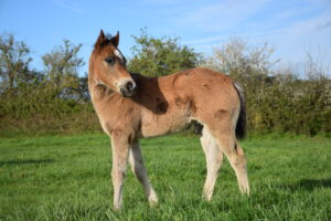 2023 04 10 utha 0127