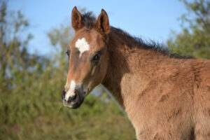 2023 04 10 utha 0131