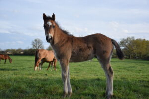 2023 04 10 utha 0177