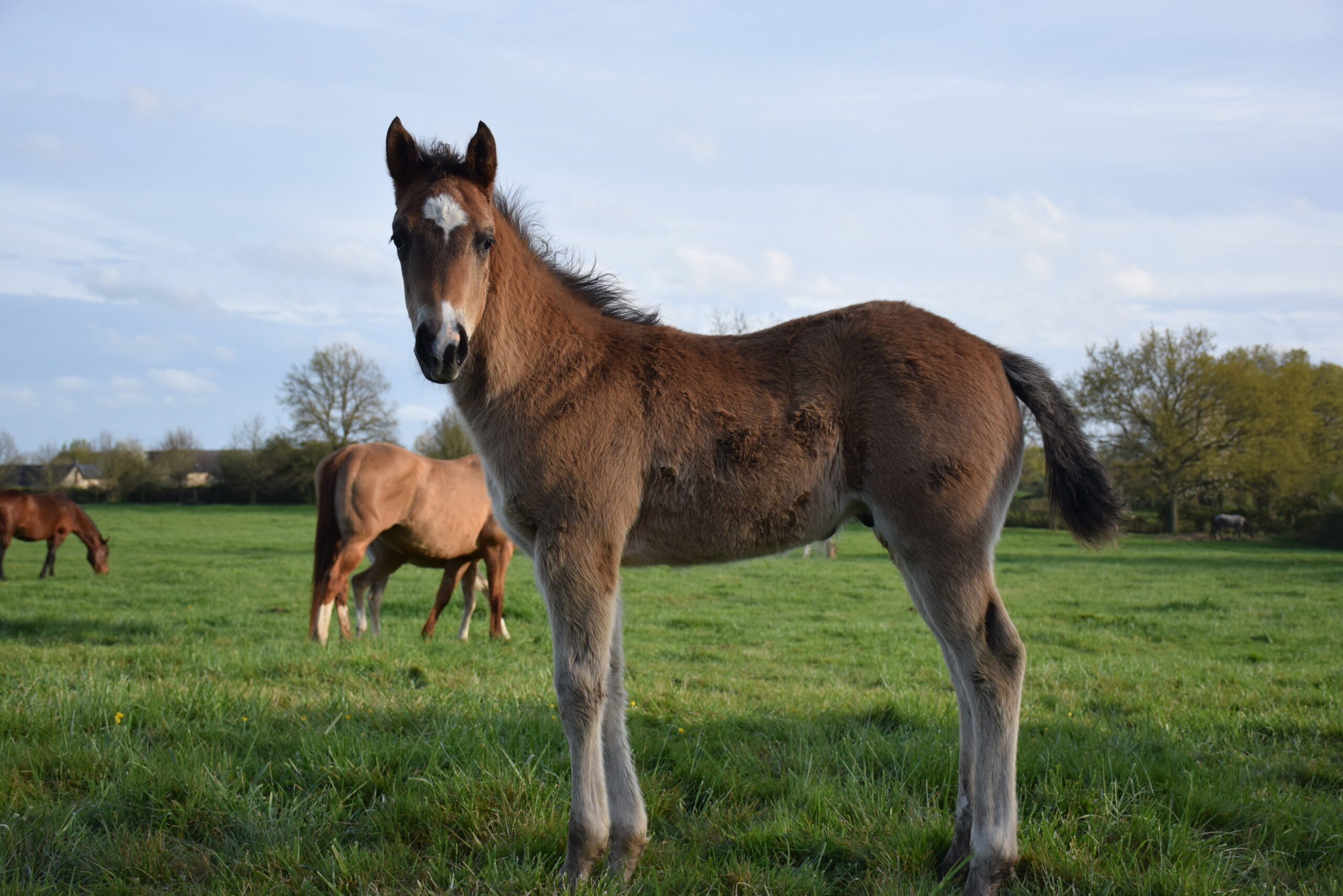 2023 04 10 utha 0177