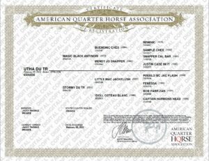 aqha certificate of registration utha du tr