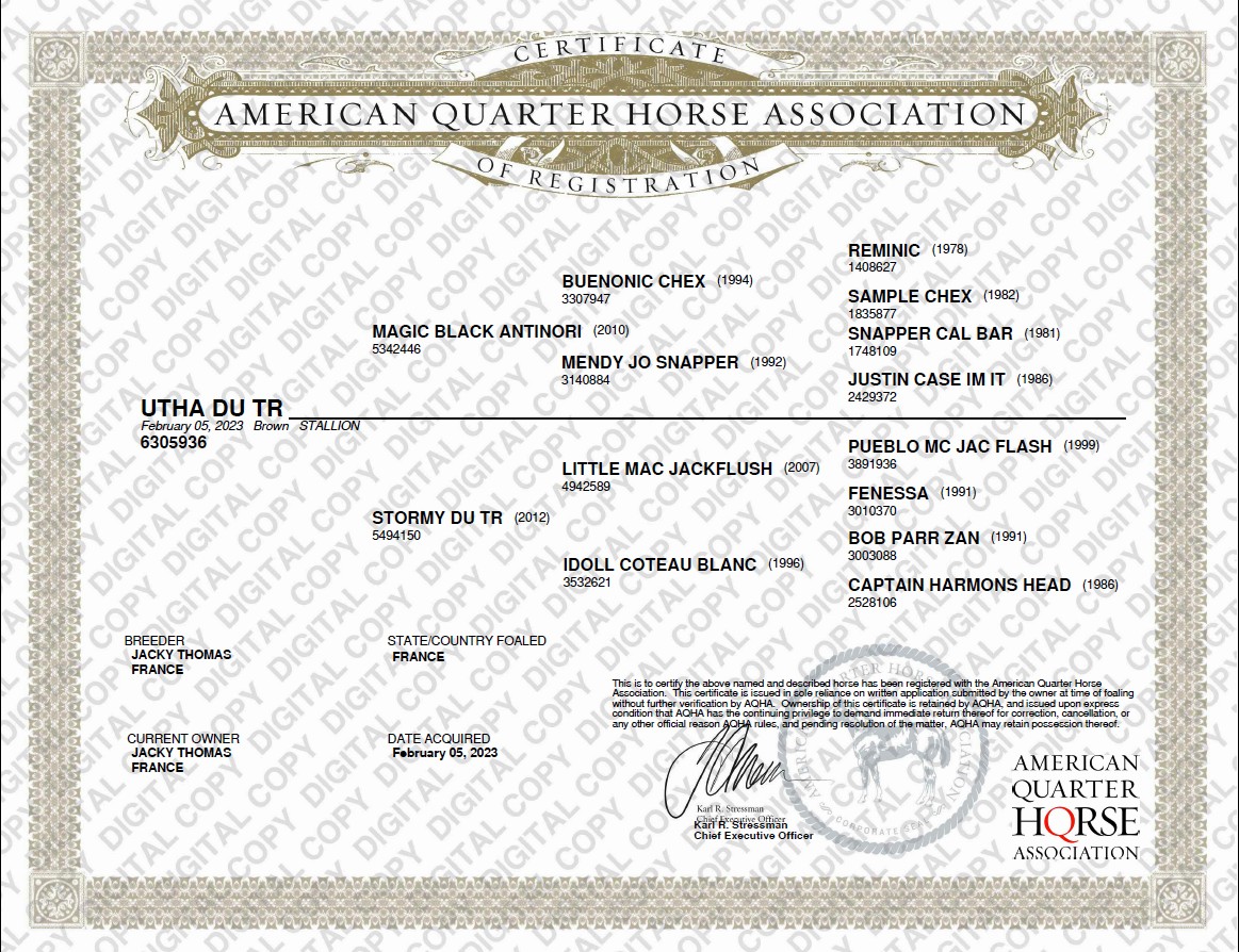 aqha certificate of registration utha du tr