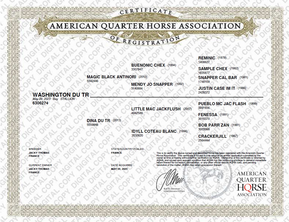 aqha certificate of registration washington du tr