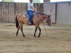 wyoming du tr 2