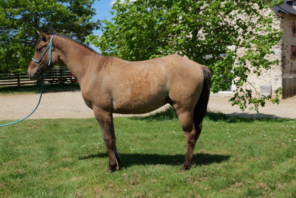 wyoming du tr (20)