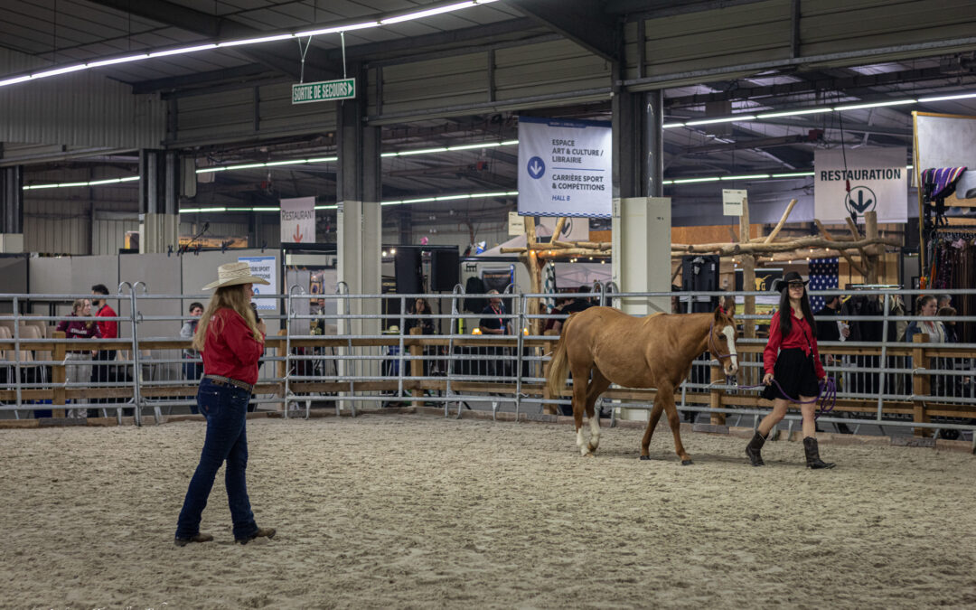 Salon d’Angers