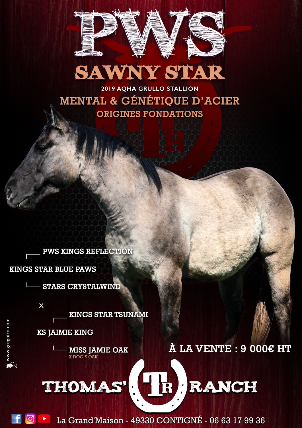 PWS-SAWNY