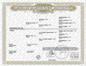 2 aqha keywest du tr