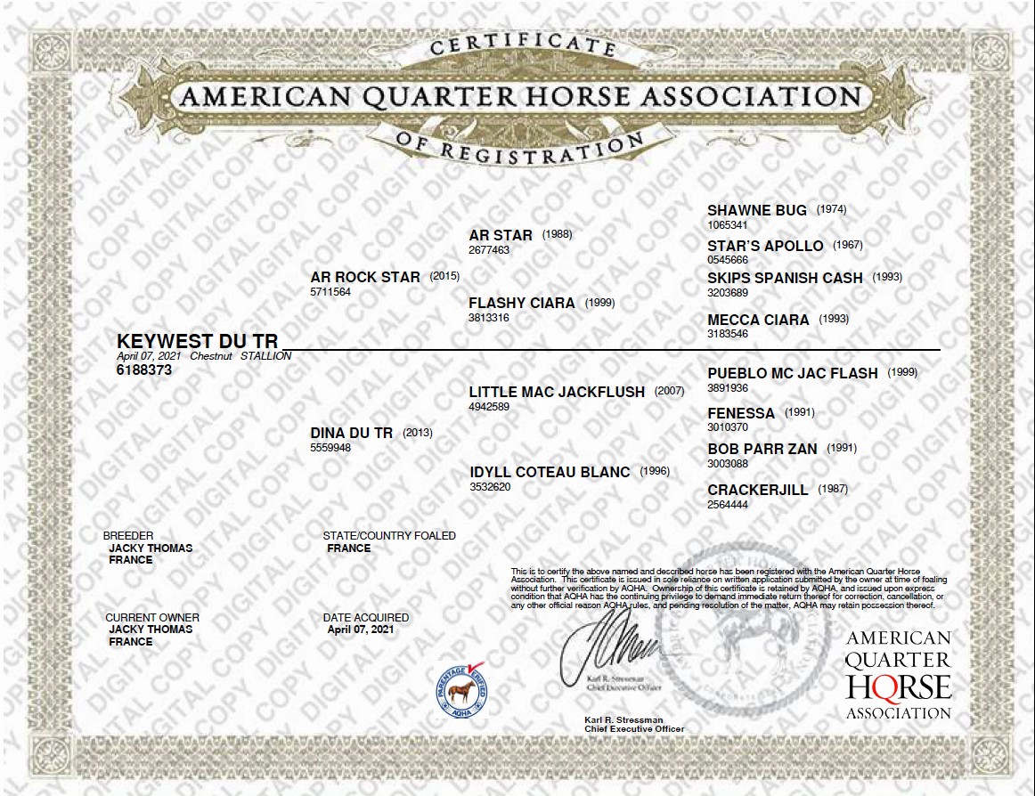 KEYWEST DU TR 2 aqha keywest du tr