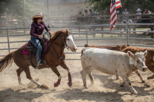Le Ranch 2023 06 17 cavaliers 4798 tri bÉtail