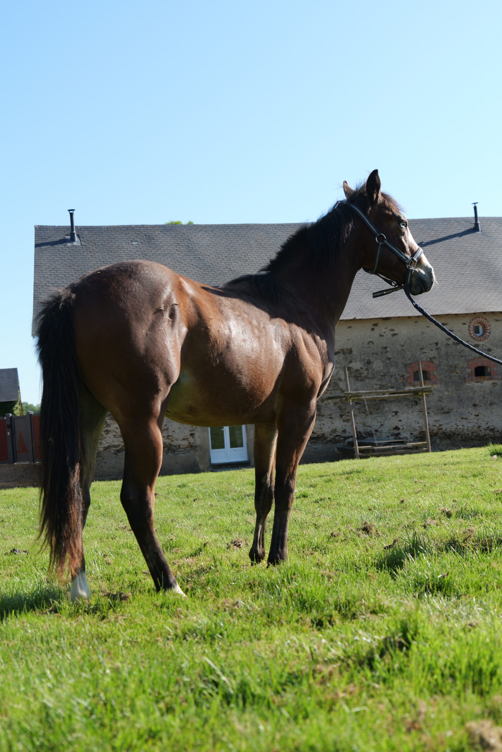 2025 04 29 tr bueno magic bar (45)