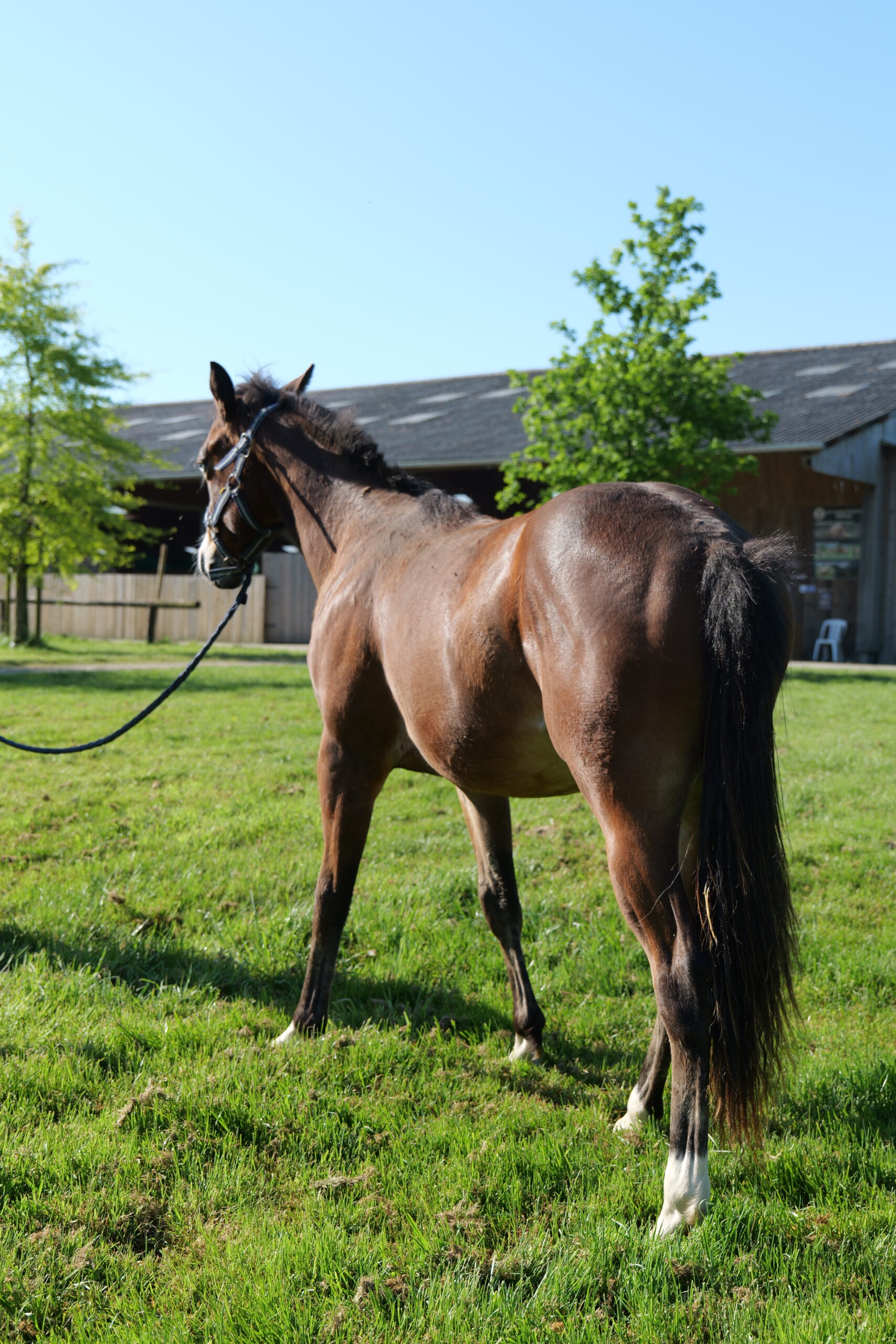 2025 04 29 tr bueno magic bar (63)