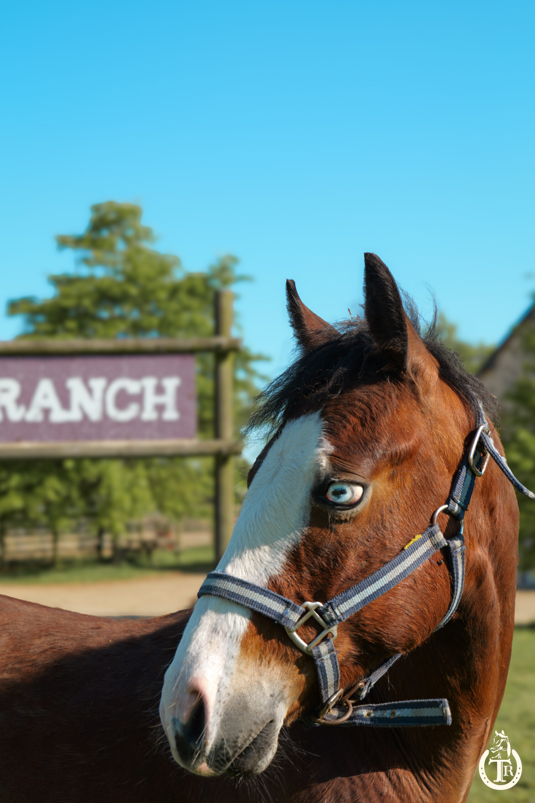 2025 04 29 tr bueno magic bar 2025 3