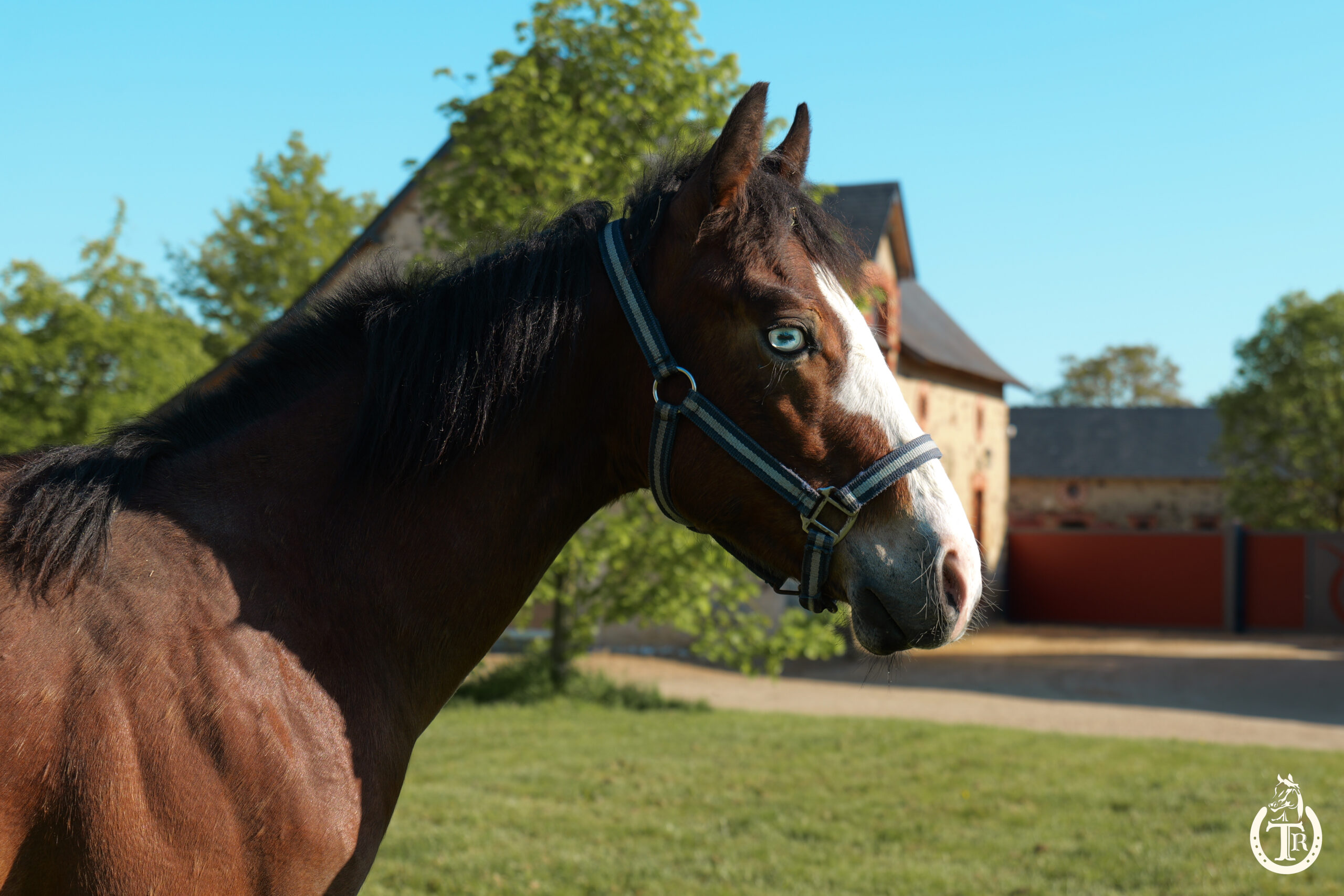 2025 04 29 tr bueno magic bar 2025 4