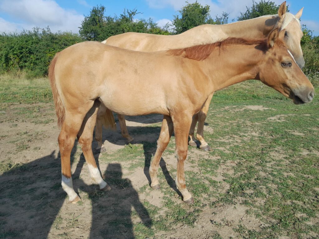 2025 07 29 à 16.07.41 09b1251d