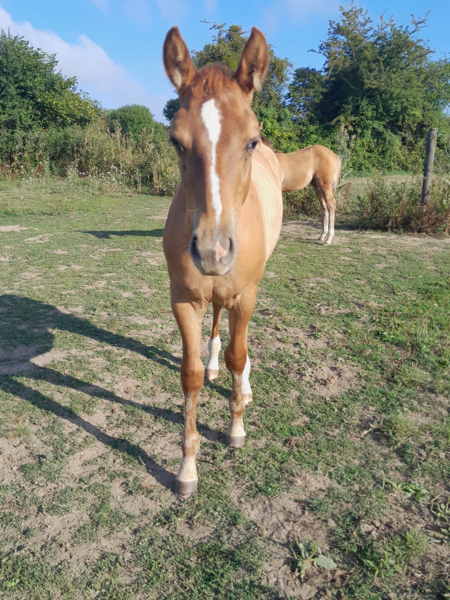 2025 07 29 à 16.07.41 1dadda69