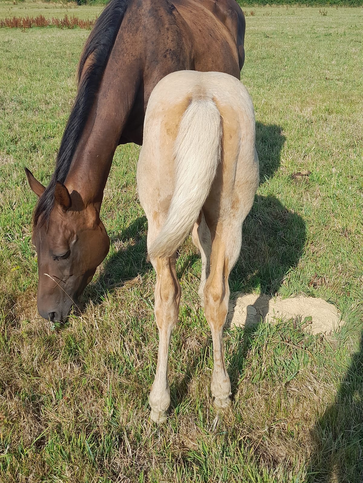 2025 07 29 à 16.08.43 aac78b75