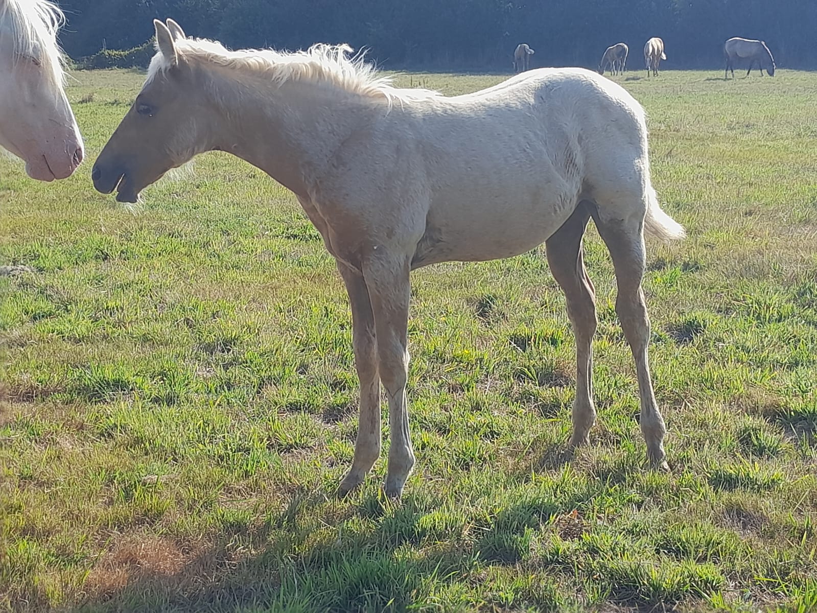 2025 07 29 à 16.08.44 09ea7195