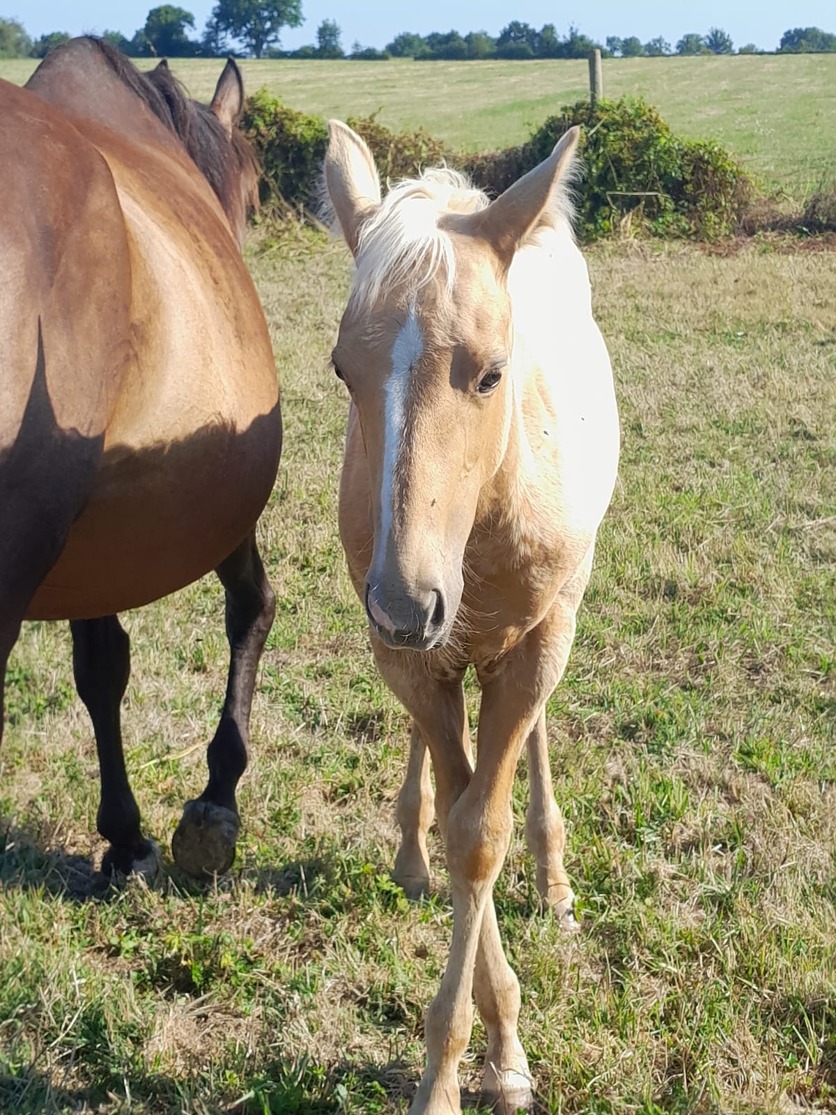 2025 07 29 à 16.08.44 ad186fb3