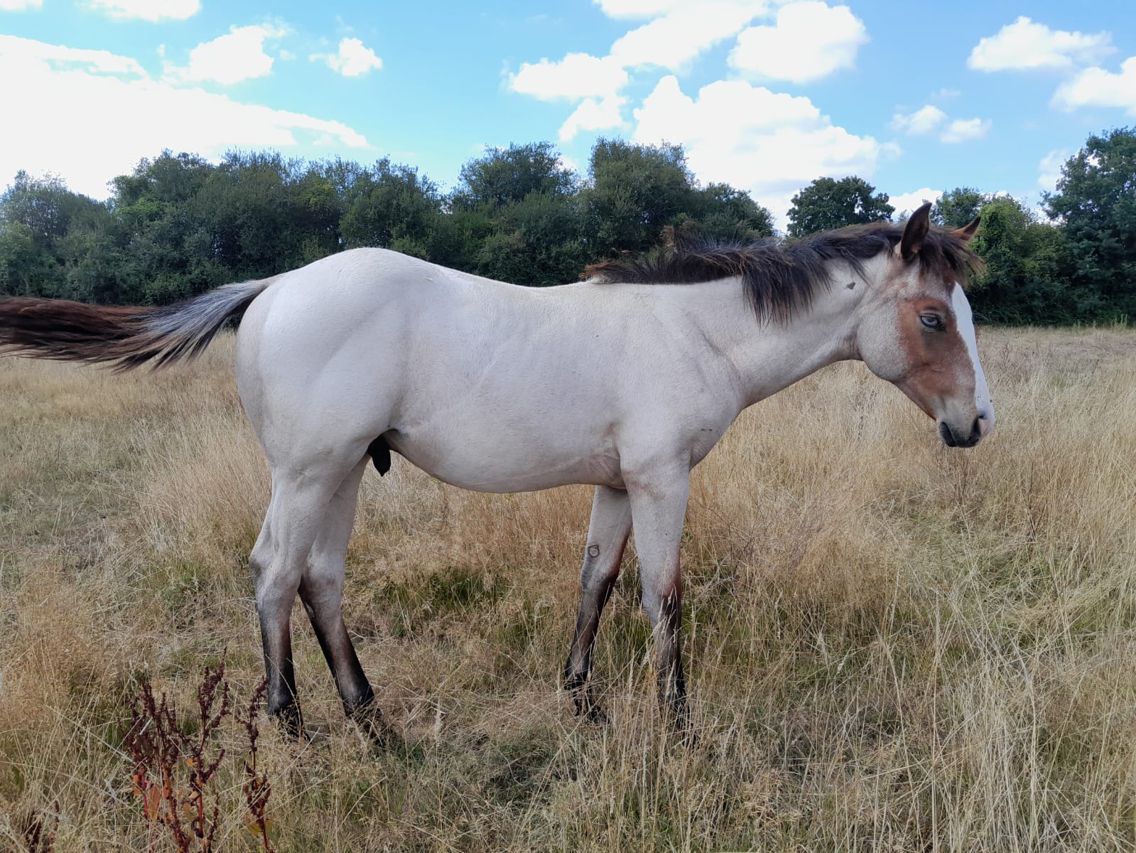 2025 07 29 à 16.09.46 1a325f25