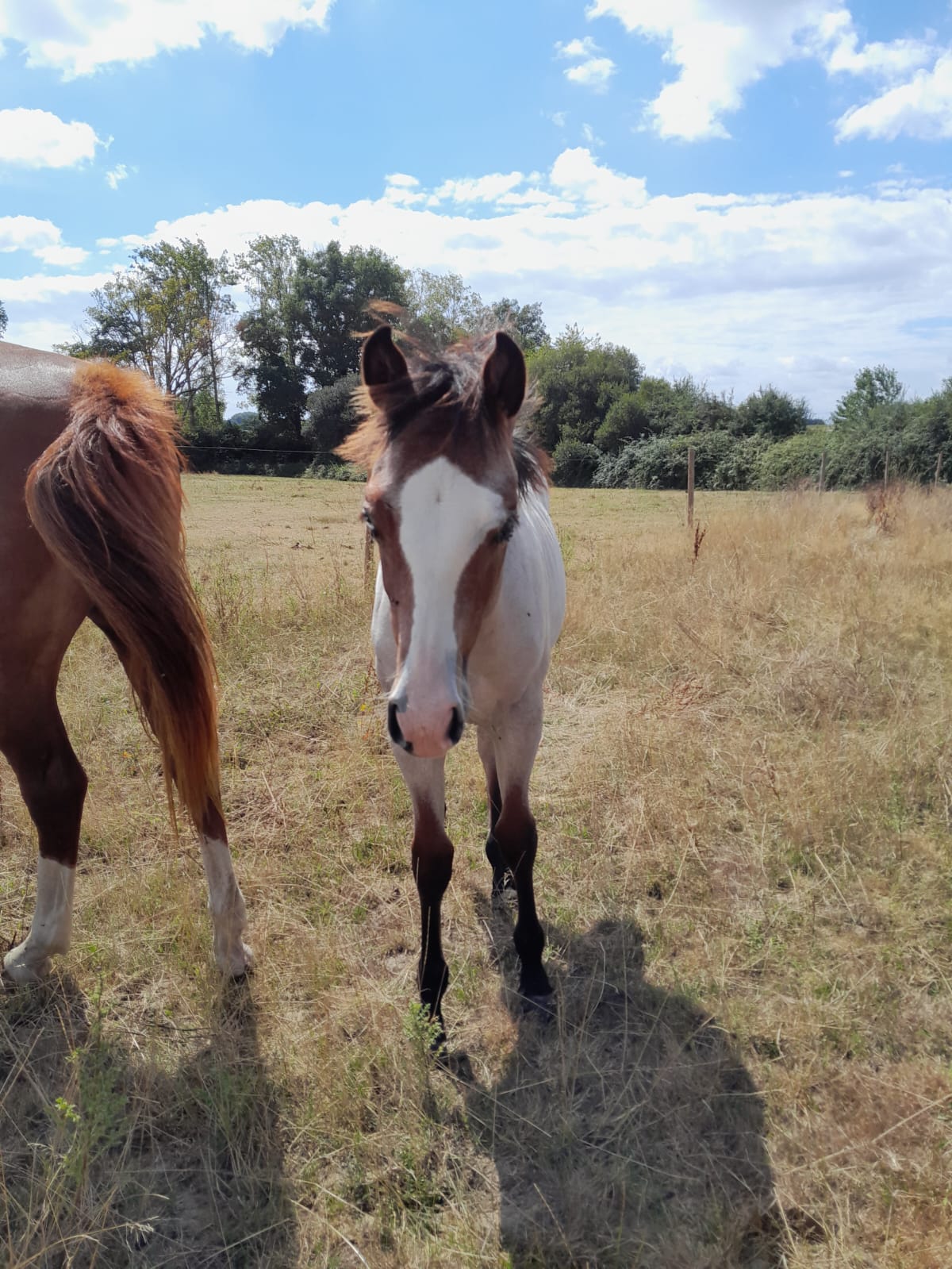 2025 07 29 à 16.09.46 9bb5e7b1