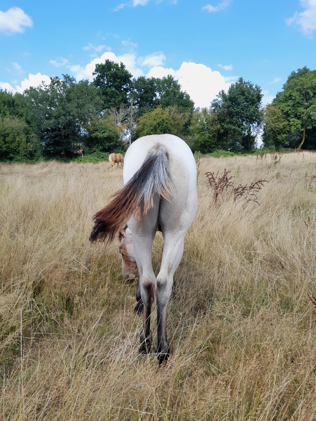 2025 07 29 à 16.09.46 aa4ef462