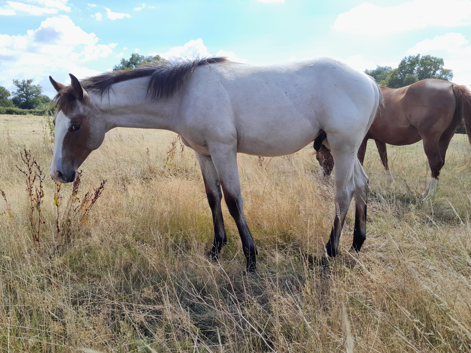 2025 07 29 à 16.09.46 e13defb8