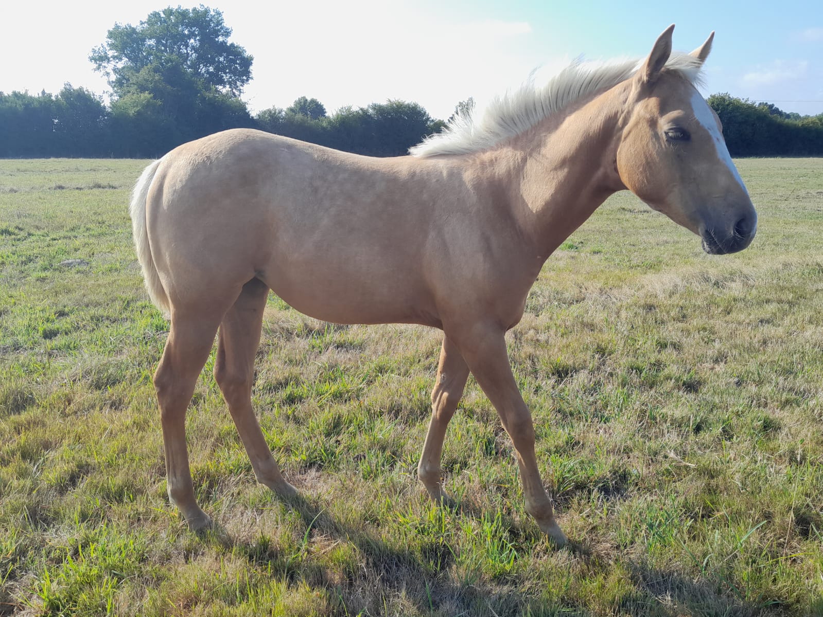 2025 07 29 à 16.10.08 1f2170a4