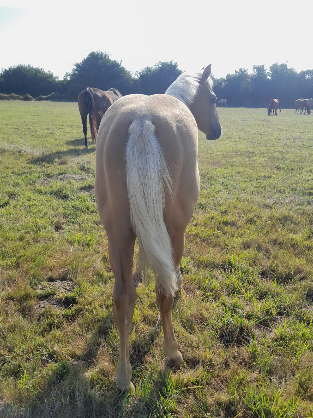 2025 07 29 à 16.10.08 39955375