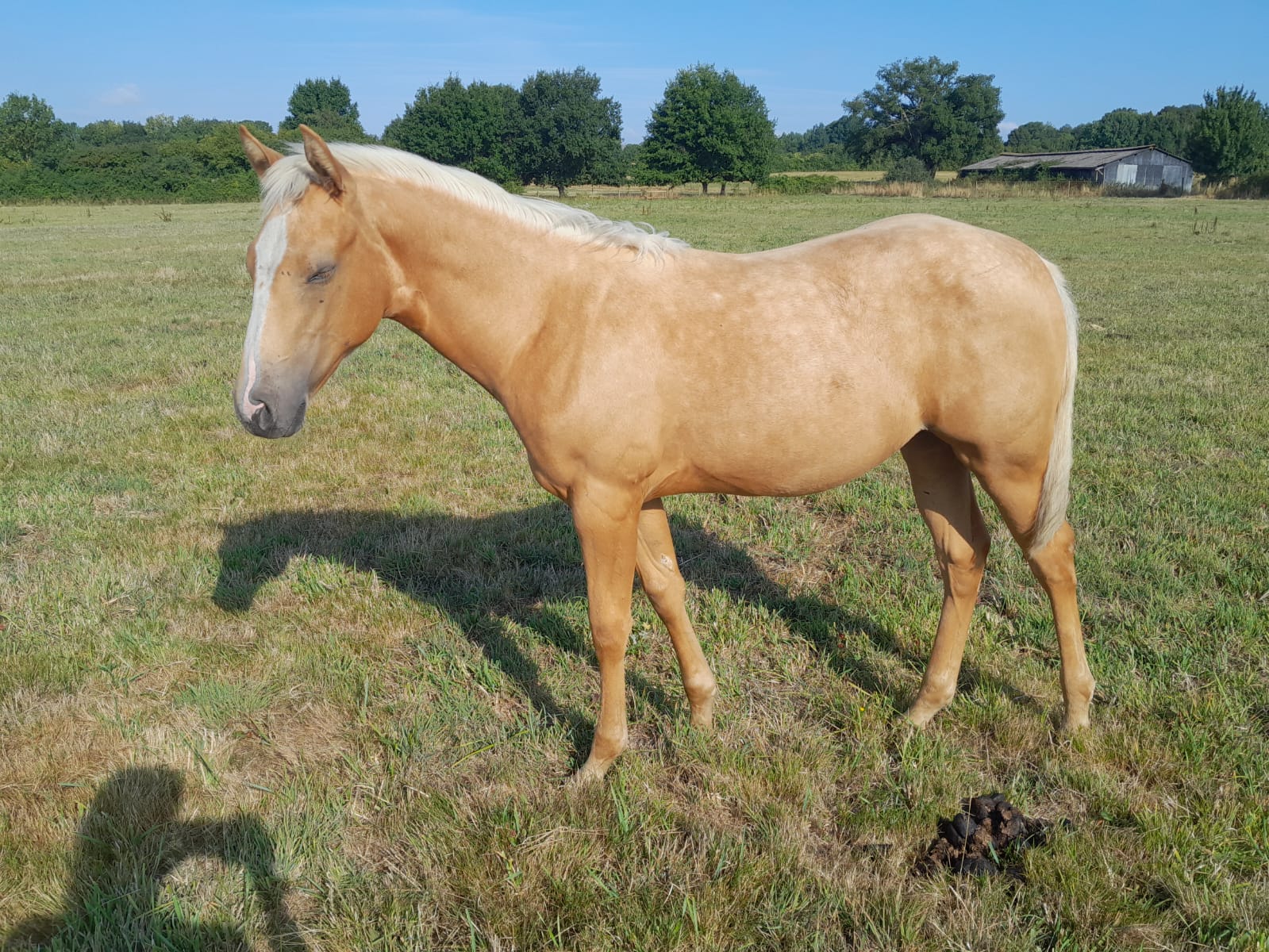 2025 07 29 à 16.10.08 6ac59e14