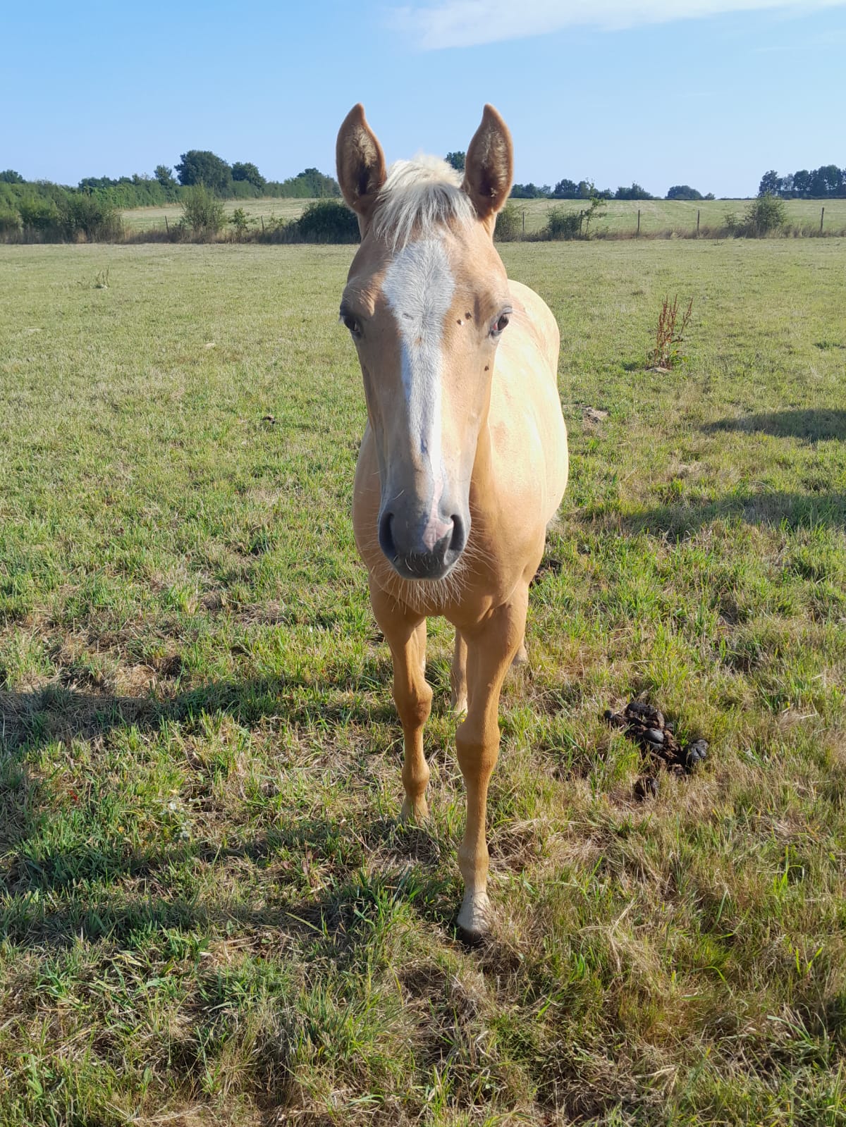 2025 07 29 à 16.10.08 a6aa32eb