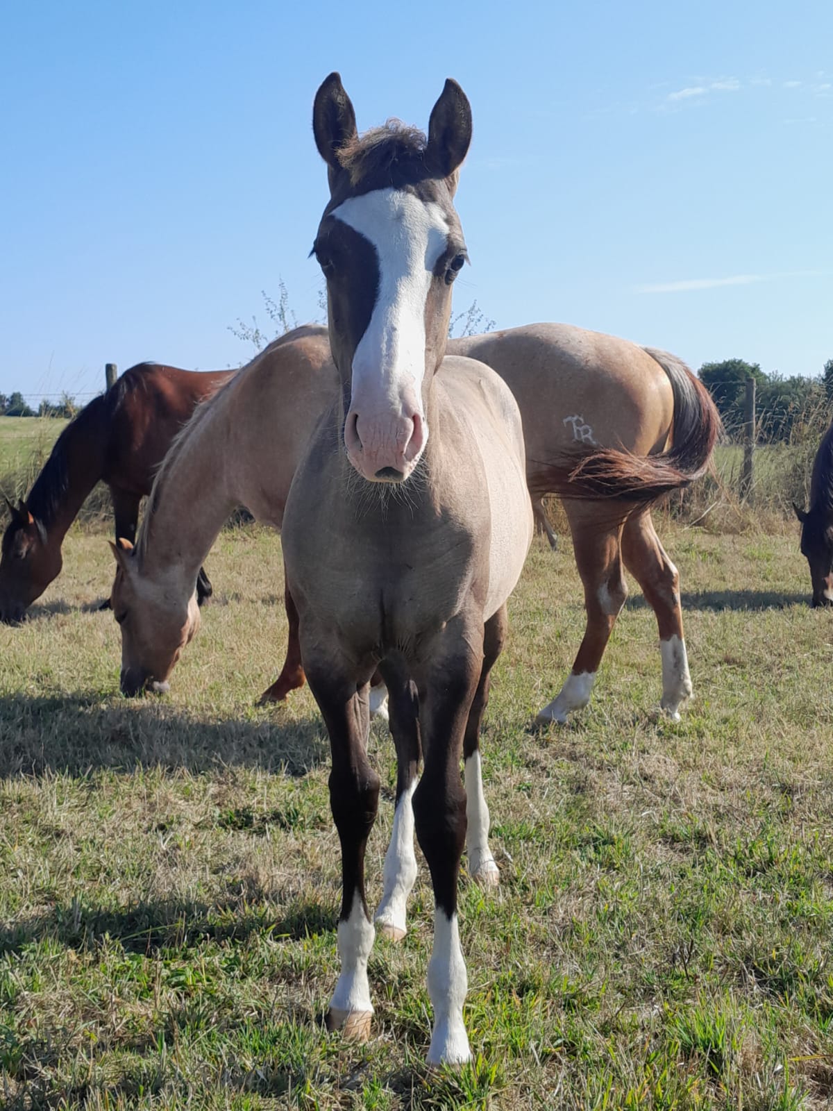 2025 07 29 à 16.10.40 6fa225ae