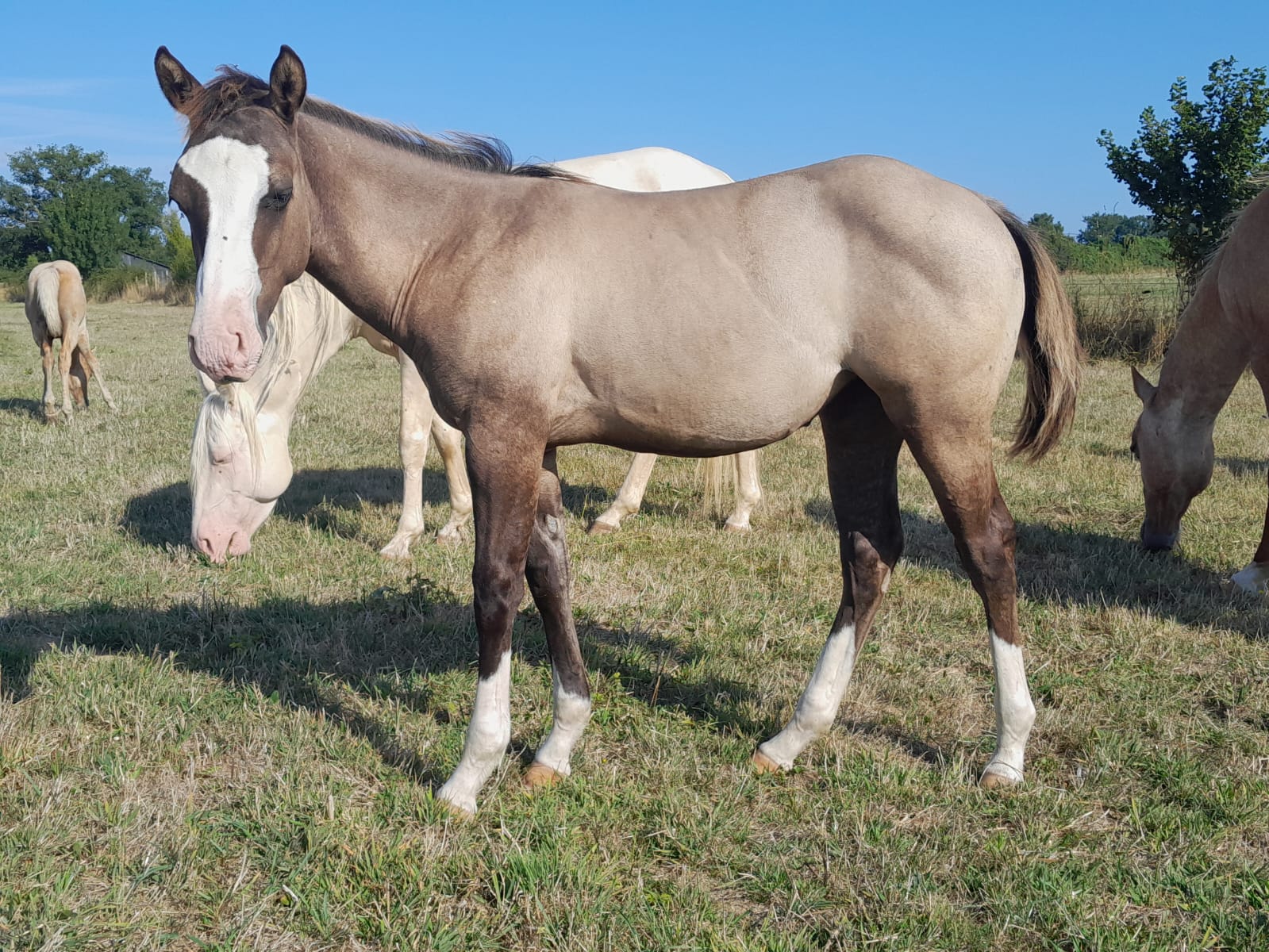 2025 07 29 à 16.10.40 6fc640fb