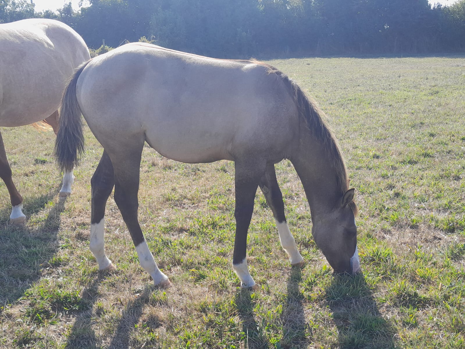 2025 07 29 à 16.10.40 b5d4400d