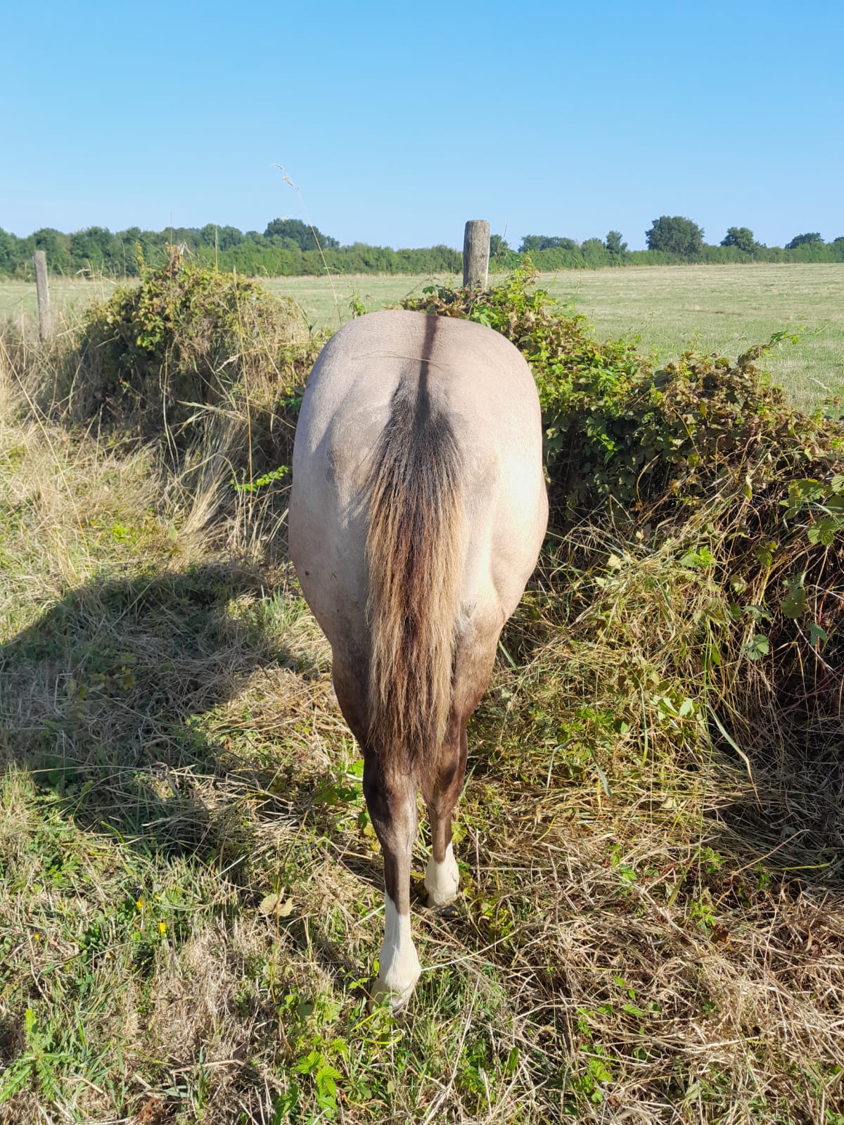 2025 07 29 à 16.10.40 dd0eb3ac