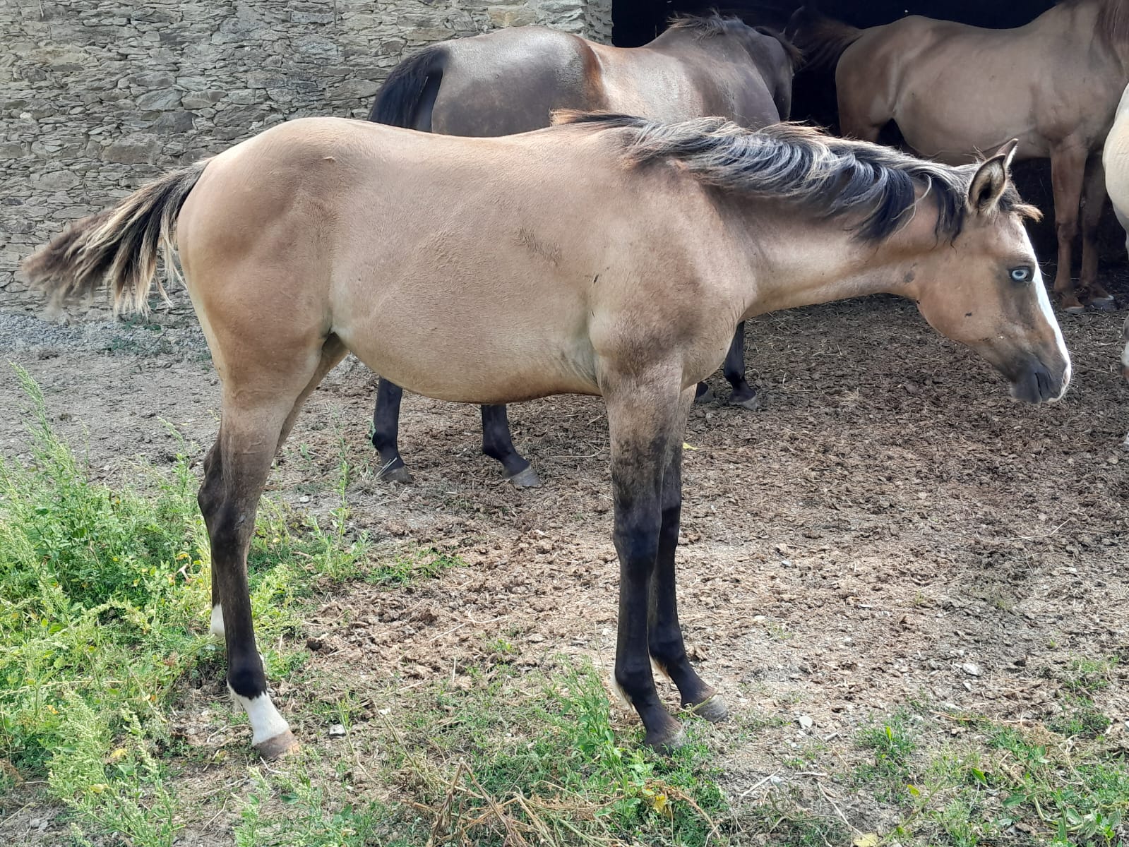 2025 07 29 à 16.11.22 1f978be3