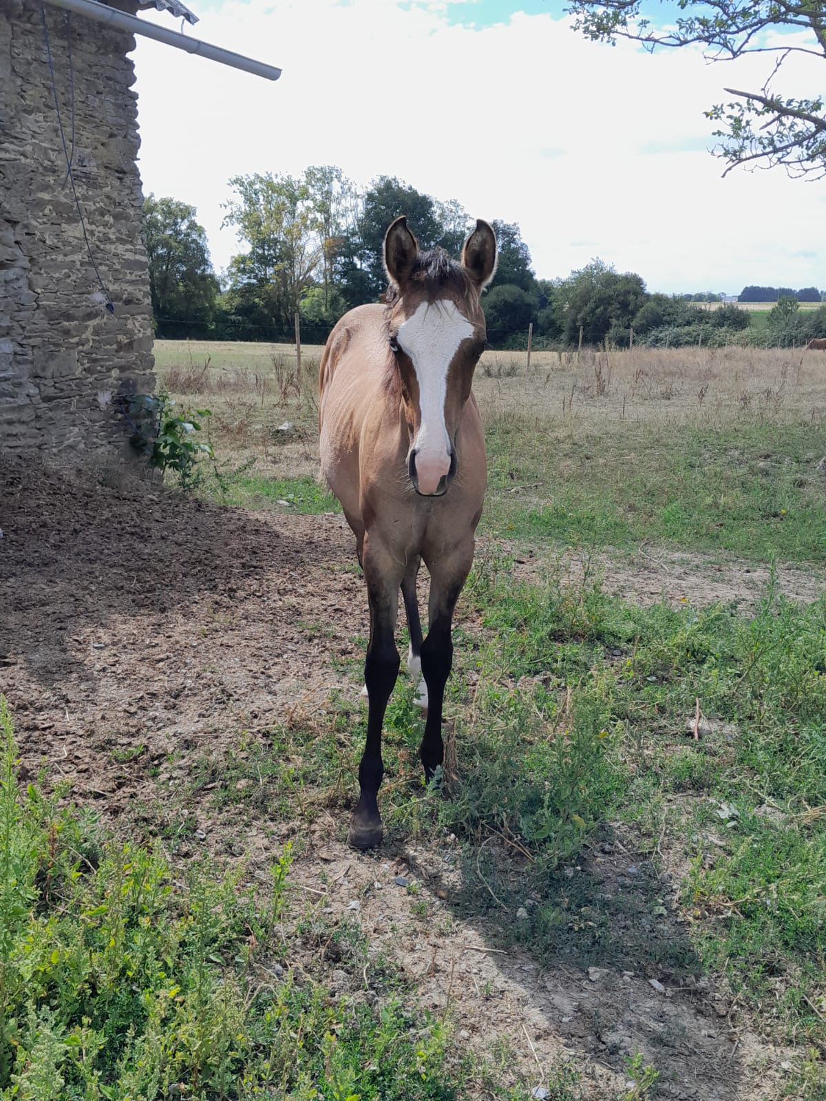 2025 07 29 à 16.11.22 365a535c